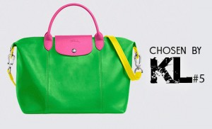 Choosen-blog-longchamp-IMG